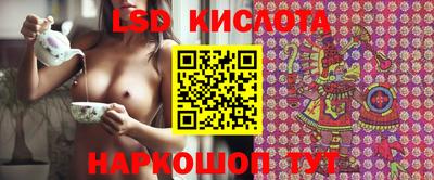 амф Гатчина