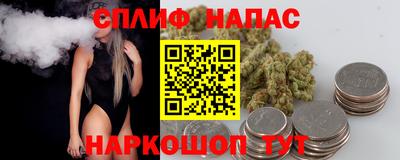 амф Гатчина