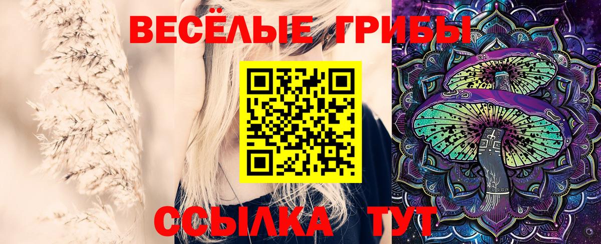 Димитровград  Псилоцибиновые грибы мицелий  купить наркотики цена  Вход с VPN 